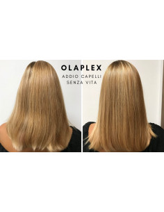 OLAPLEX N.6 RIPARAZIONE... 2